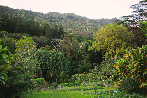 00CLI-50x50-Hawaii-03-kbvg-articleLarge