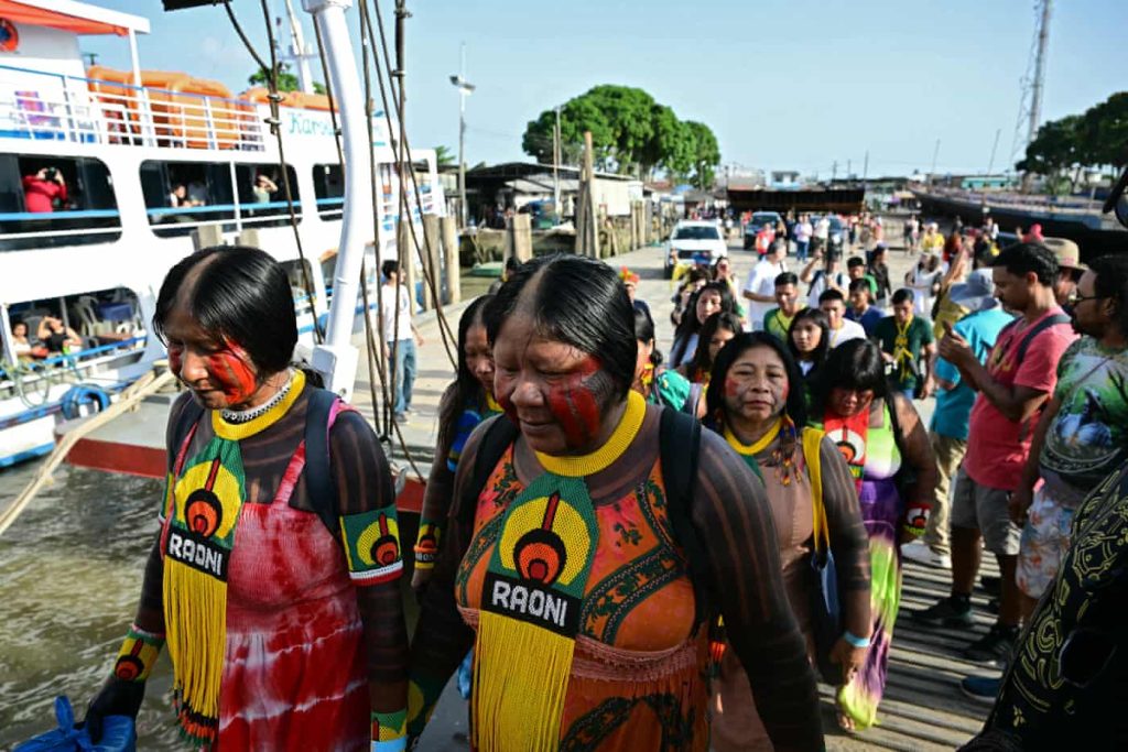 8256