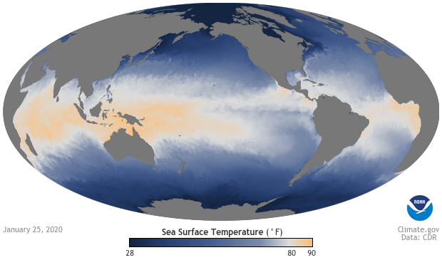 Ocean--Daily--Sea-Surface-Temperature--Global--2020-01-25--small